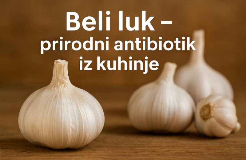 beli luk je prirodni antibiotik